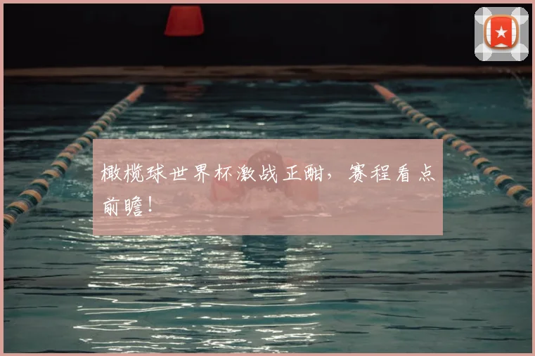 橄榄球世界杯激战正酣，赛程看点前瞻！