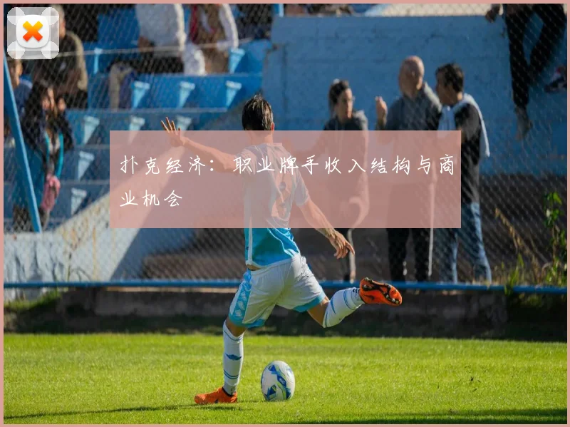 扑克经济：职业牌手收入结构与商业机会
