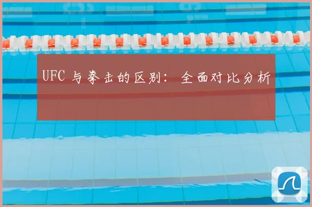 UFC 与拳击的区别：全面对比分析