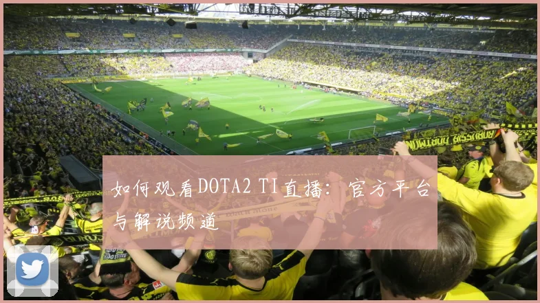 如何观看DOTA2 TI直播：官方平台与解说频道