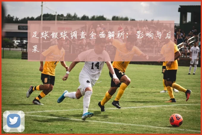 足球假球调查全面解析:影响与后果